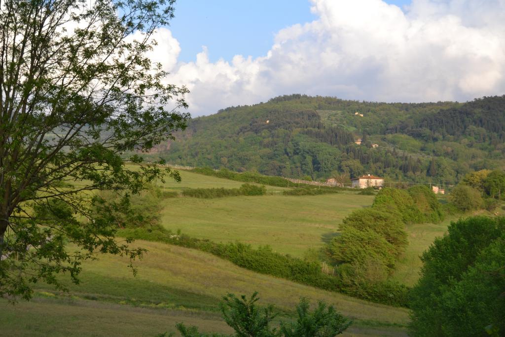 B&B Villa Il Poggiolino Molino del Piano Exteriér fotografie