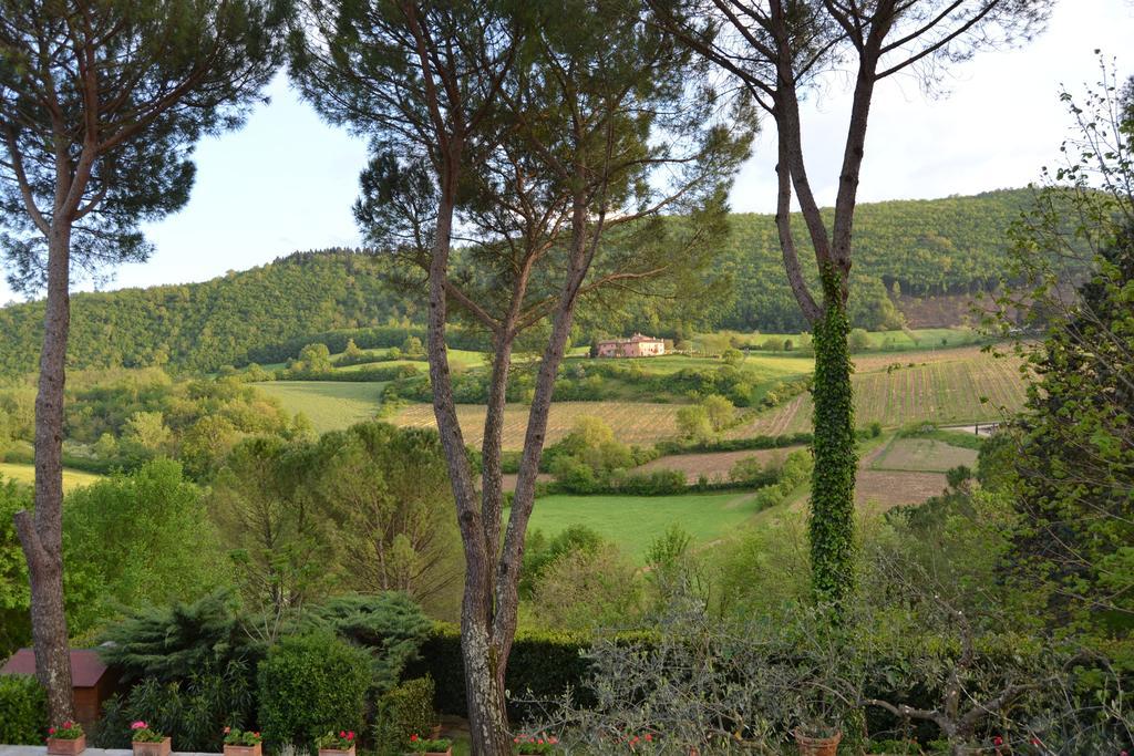 B&B Villa Il Poggiolino Molino del Piano Exteriér fotografie