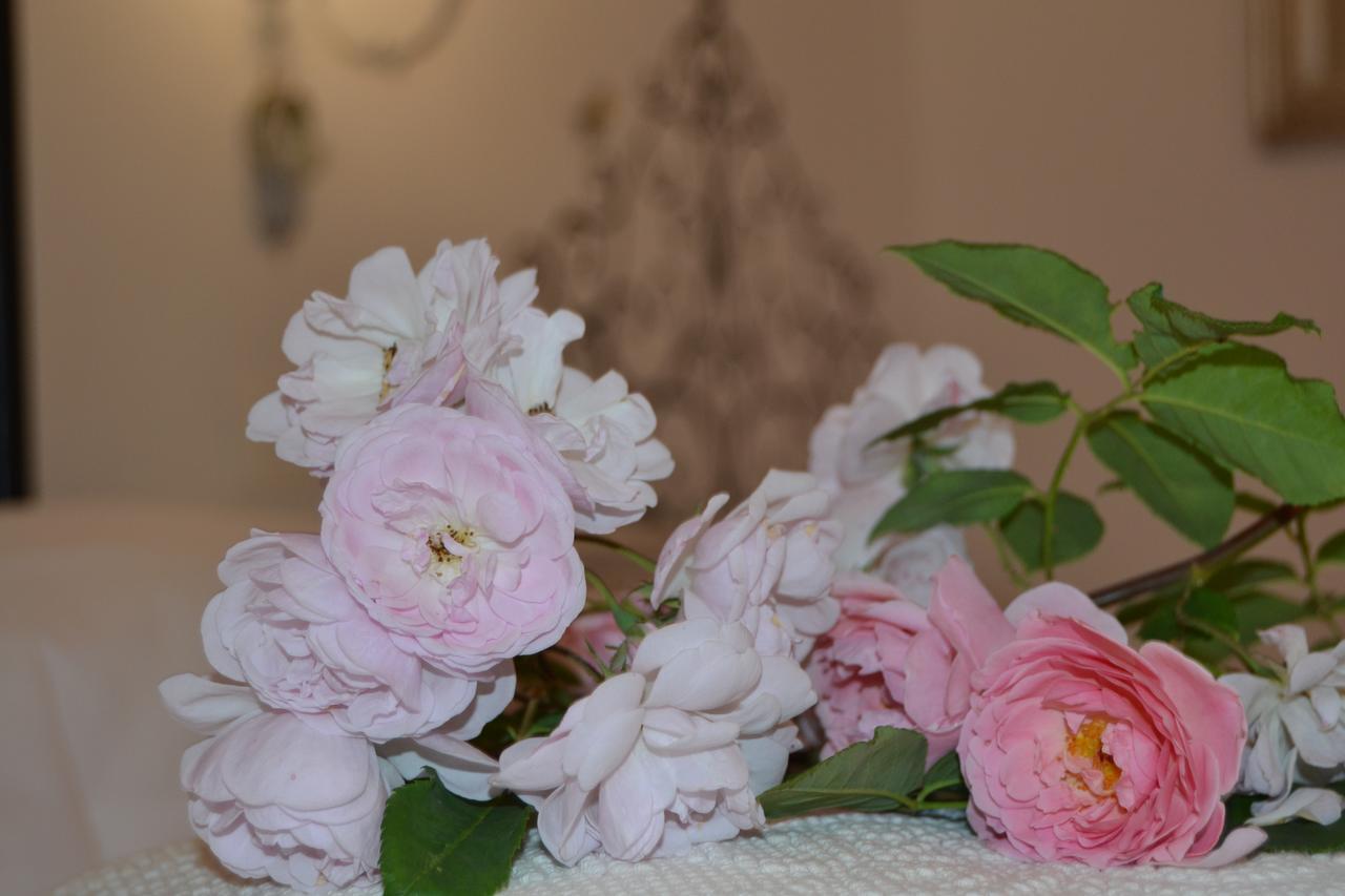 B&B Villa Il Poggiolino Molino del Piano Exteriér fotografie
